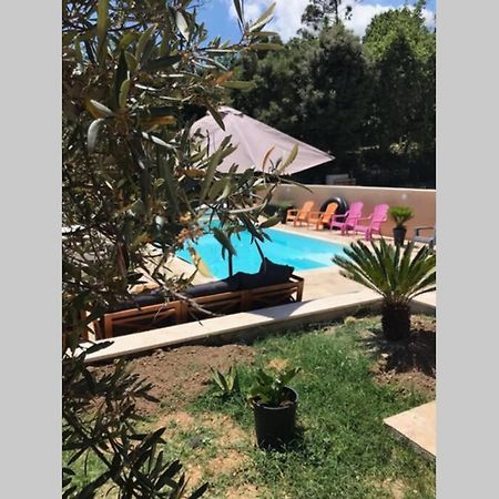 Logement Attenant A Une Villa T2 Avec Terrasse . Besse-sur-Issole Exteriér fotografie