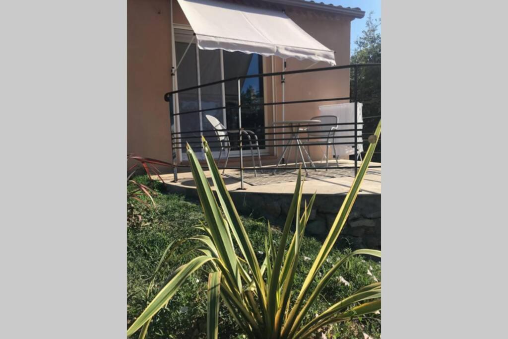 Logement Attenant A Une Villa T2 Avec Terrasse . Besse-sur-Issole Exteriér fotografie